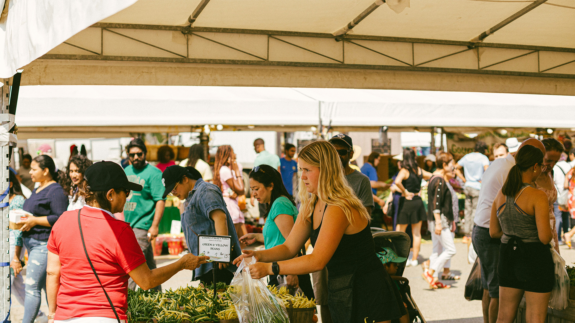 People shopping for produce at a farmers market