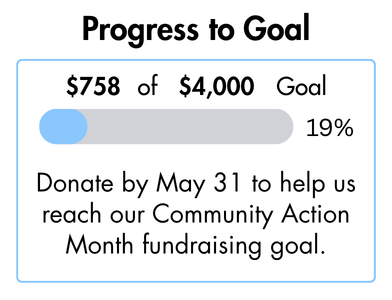 tile with header reading "Progress to Goal" and a graphic showing 19% to $4000 goal"